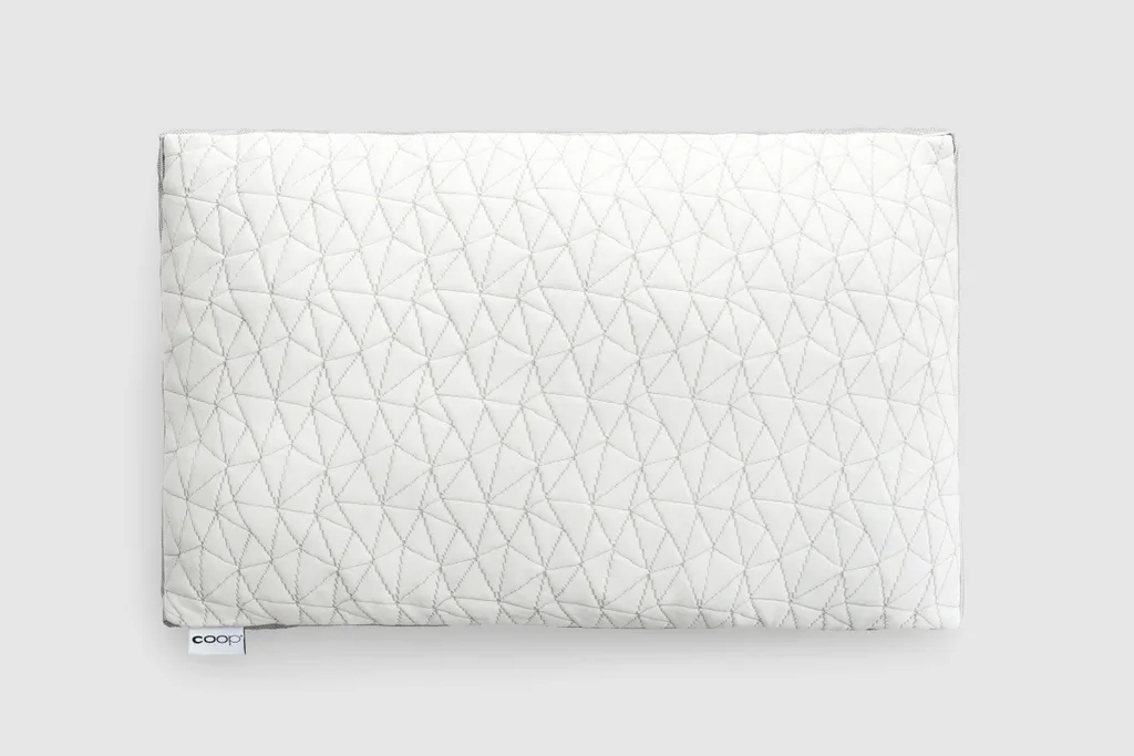 Coop Home Goods Eden Pillow (Queen)